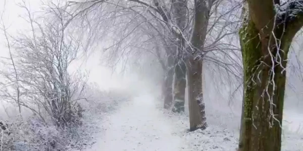 #fa-caption-674 ALBĂ CA ZĂPADA