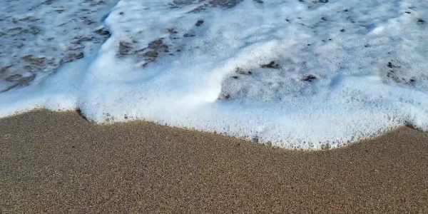 #fa-caption-166 ASIMPTOMATIC