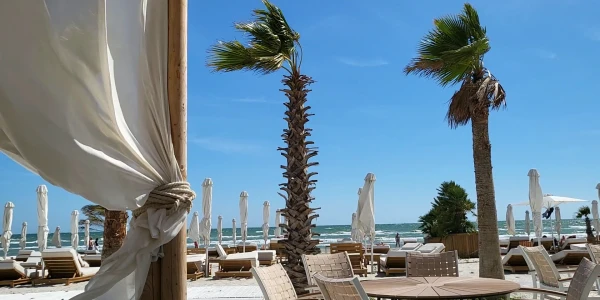 #fa-caption-295 MI-E DOR...