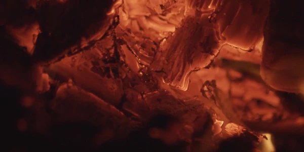 #fa-caption-118 FOCUL