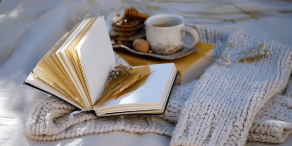 #fa-caption-287 MISTER