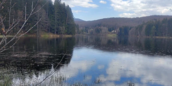 LACUL TREI APE, CARAȘ - SEVERIN