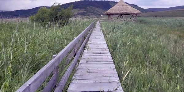 STUFĂRIŞURILE DE LA SIC