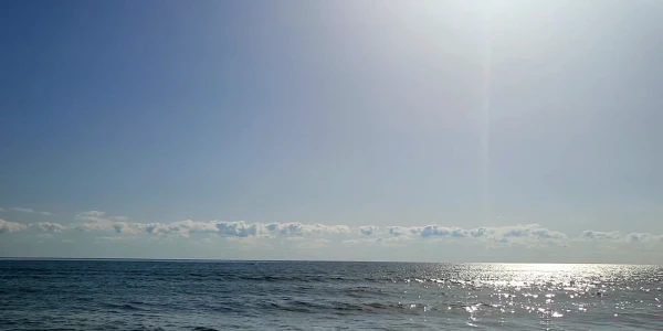 #fa-caption-840 SCRISOARE