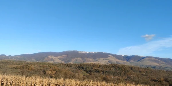 HOAȚA DE LA VERENDIN