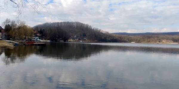#fa-caption-142 LACUL SURDUC