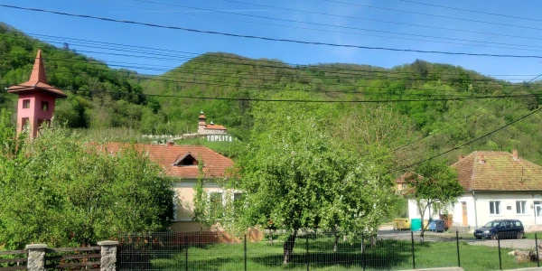 ȚINUTUL PĂDURENILOR