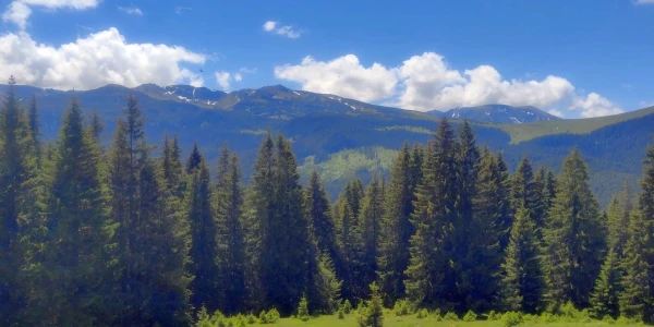 TRANSALPINA, ROMÂNIA