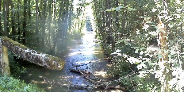 MIȘCARE CU BICICLETA
