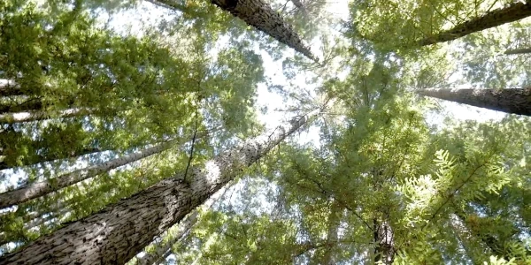 #fa-caption-307 UMBRE