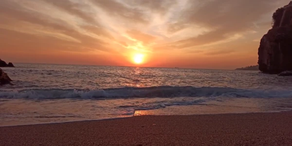 #fa-caption-756 ABIS