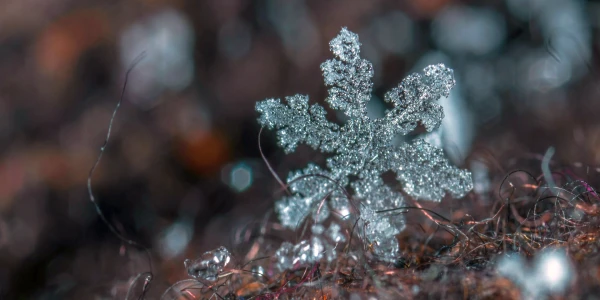 #fa-caption-218 EFEMER