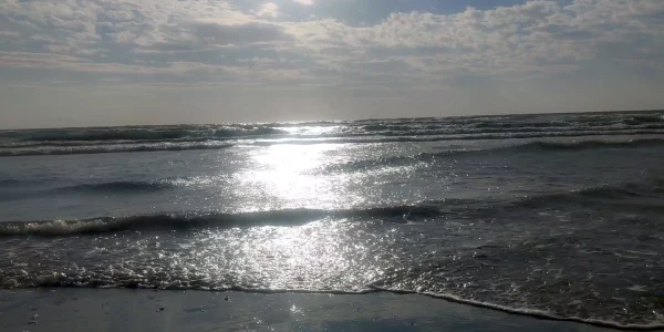 #fa-caption-908 NOAPTE RECE / COLD NIGHT