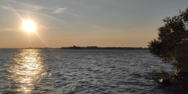 VERDE VIS / GREEN DREAM