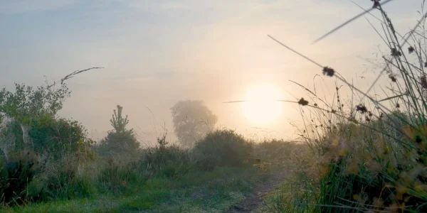 CLASIC STIL / CLASSIC STYLE