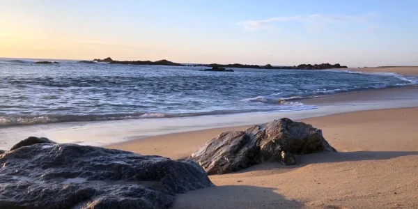 MISTER ȘI DORINȚĂ / MYSTERY AND DESIRE